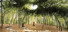 Nature: Collaborations in Design, Hardback Book Nature: Collaborations in Design, Hardback Book