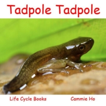 Tadpole Tadpole, Paperback Book Tadpole Tadpole, Paperback Book