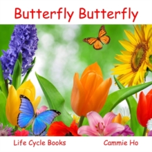 Butterfly Butterfly, Paperback / softback Book Butterfly Butterfly, Paperback / softback Book