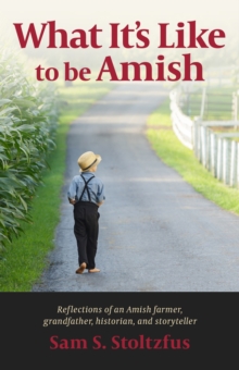 What It's Like to Be Amish, Paperback / softback Book What It's Like to Be Amish, Paperback / softback Book