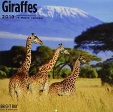 Giraffes 2019, Calendar Book Giraffes 2019, Calendar Book
