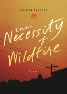 The Necessity of Wildfire : Poems