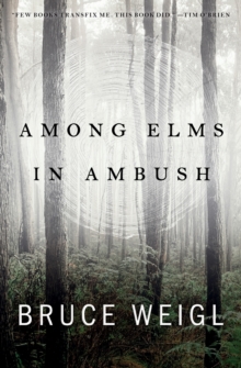 Among Elms, In Ambush