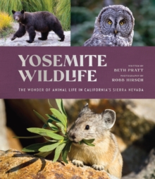 Yosemite Wildlife : The Wonder of Animal Life in California's Sierra Nevada