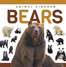 Bears