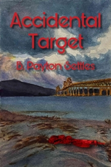 Accidental Target : An Iris DeVere Mystery