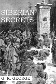 Siberian Secrets : A Novel