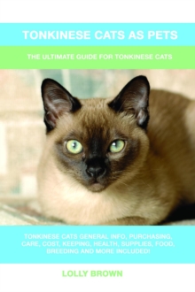 Tonkinese Cats as Pets