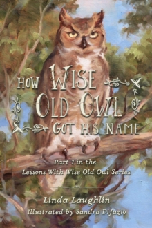 How Wise Old Owl Got His Name