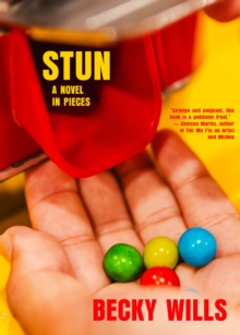Stun : A Novel in Pieces