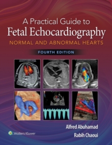 A Practical Guide to Fetal Echocardiography : Normal and Abnormal Hearts