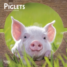 Piglets 2019 Mini Wall Calendar, Calendar Book Piglets 2019 Mini Wall Calendar, Calendar Book