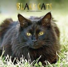 Black Cats 2019 Square Wall Calendar, Calendar Book Black Cats 2019 Square Wall Calendar, Calendar Book