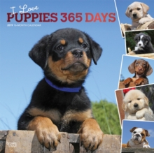 Puppies, I Love, 365 Days, 2019 Square Wall Calendar, Calendar Book Puppies, I Love, 365 Days, 2019 Square Wall Calendar, Calendar Book