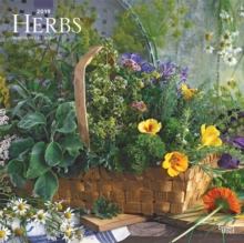 Herbs 2019 Square Wall Calendar, Calendar Book Herbs 2019 Square Wall Calendar, Calendar Book
