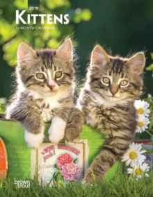 Kittens 2019 Diary, Diary Book Kittens 2019 Diary, Diary Book