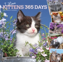 Kittens, I Love, 365 Days, 2019 Square Wall Calendar, Calendar Book Kittens, I Love, 365 Days, 2019 Square Wall Calendar, Calendar Book