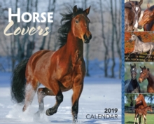 HORSE LOVERS 2019 DAYTODAY CALENDAR, Paperback Book HORSE LOVERS 2019 DAYTODAY CALENDAR, Paperback Book