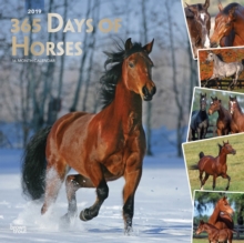 Horses, 365 Days of, 2019 Square Wall Calendar, Calendar Book Horses, 365 Days of, 2019 Square Wall Calendar, Calendar Book