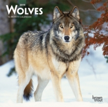 Wolves 2019 Mini Wall Calendar, Calendar Book Wolves 2019 Mini Wall Calendar, Calendar Book
