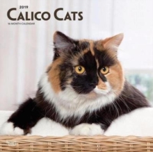 Calico Cats 2019 Square Wall Calendar, Calendar Book Calico Cats 2019 Square Wall Calendar, Calendar Book