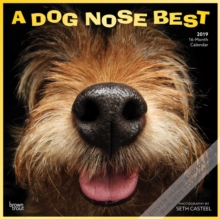 A Dog Nose Best 2019 Square Wall Calendar, Calendar Book A Dog Nose Best 2019 Square Wall Calendar, Calendar Book