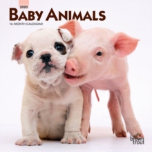 Baby Animals 2020 Mini Wall Calendar, Calendar Book Baby Animals 2020 Mini Wall Calendar, Calendar Book