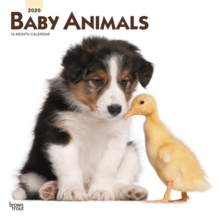 Baby Animals 2020 Square Wall Calendar, Calendar Book Baby Animals 2020 Square Wall Calendar, Calendar Book