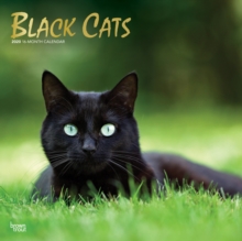 Black Cats 2020 Square Wall Calendar, Calendar Book Black Cats 2020 Square Wall Calendar, Calendar Book