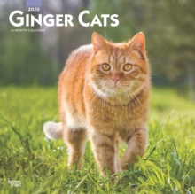 Ginger Cats 2020 Square Wall Calendar, Calendar Book Ginger Cats 2020 Square Wall Calendar, Calendar Book