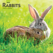 Rabbits 2020 Square Wall Calendar, Calendar Book Rabbits 2020 Square Wall Calendar, Calendar Book