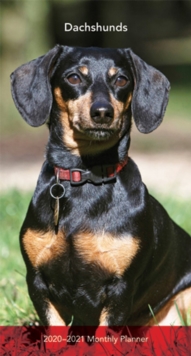 Dachshunds 2020 Pocket Planner, Diary Book Dachshunds 2020 Pocket Planner, Diary Book