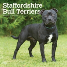 Staffordshire Bull Terriers 2020 Square Wall Calendar, Calendar Book Staffordshire Bull Terriers 2020 Square Wall Calendar, Calendar Book