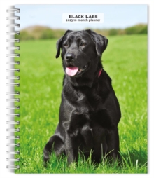 Labrador Retrievers Black 2025 Engagemen