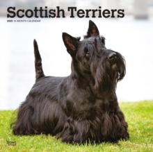 Scottish Terriers 2025 Square Wrap