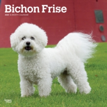 Bichon Frise 2025 Square Wrap