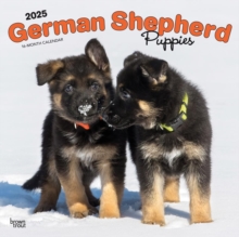 German Shepherd Puppies 2025 Square Wrap