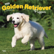 2025 Plastic-Free Golden Retriever Puppies Calendar