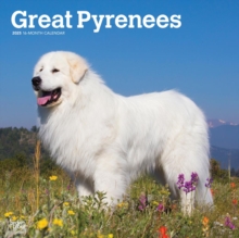 Great Pyrenees 2025 Square Wrap