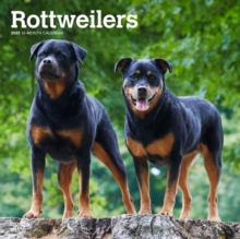 Rottweilers 2025 Square Wrap