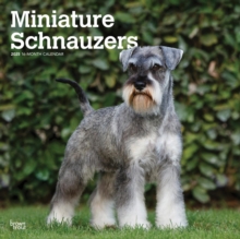 Schnauzers Miniature 2025 Square Wrap