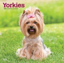 Yorkshire Terriers 2025 Square Wrap