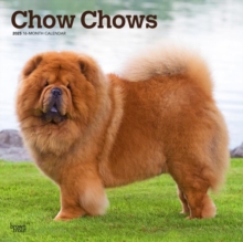 Chow Chows 2025 Square Wrap