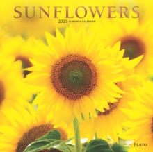 Sunflowers 2025 Square Plato Foil