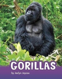 GORILLAS, Paperback Book GORILLAS, Paperback Book