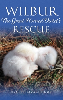 Wilbur : The Great Horned Owlet's Rescue