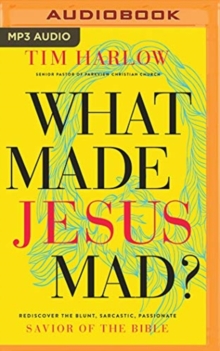 WHAT MADE JESUS MAD, CD-Audio Book WHAT MADE JESUS MAD, CD-Audio Book