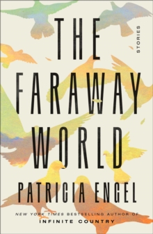 The Faraway World : Stories