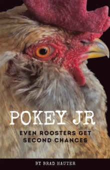 Pokey Jr : Even Roosters Get Second Chances