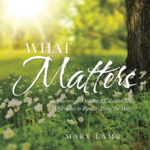 What Matters : A Journey of Ordinary Existence with Questions to Ponder Along the Way